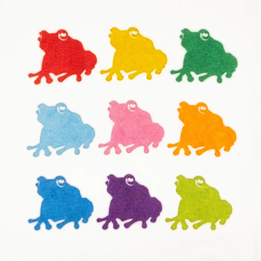 Multi Color kaeru lady's S/S mini Tee