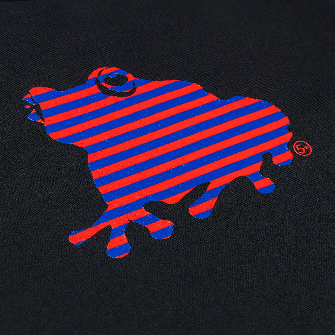 Striped SAGE FROG S/S Tee