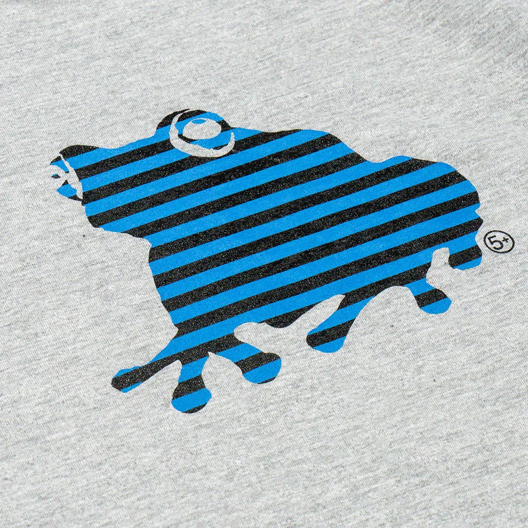 Striped SAGE FROG S/S Tee