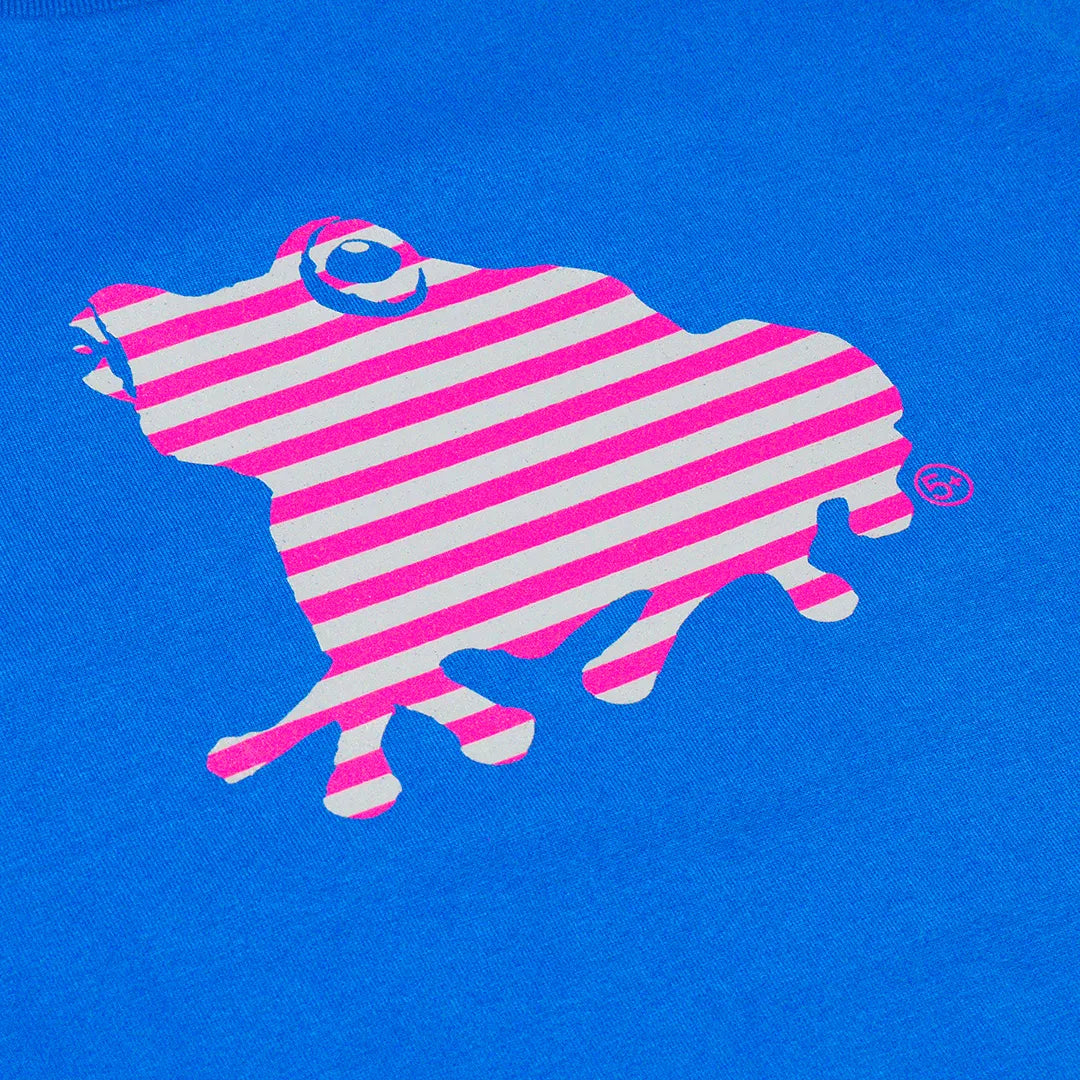Striped SAGE FROG S/S Tee