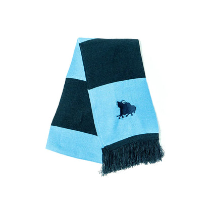 sage official team scarf