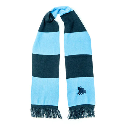 sage official team scarf