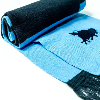 sage official team scarf