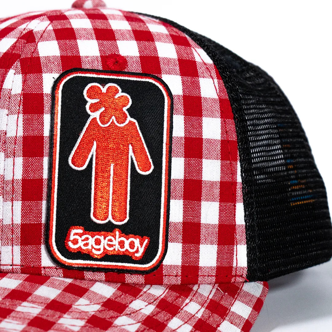 Plaid Mesh Cap 2