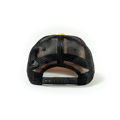 Plaid Mesh Cap 3