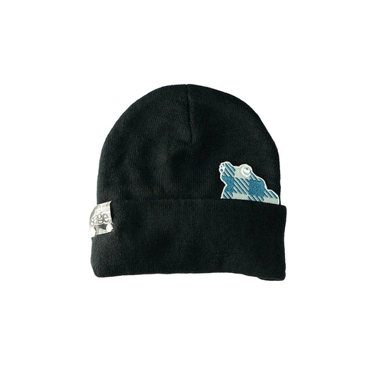 kaeru patch visor beanie